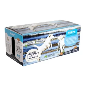 Leading Raw Puppy